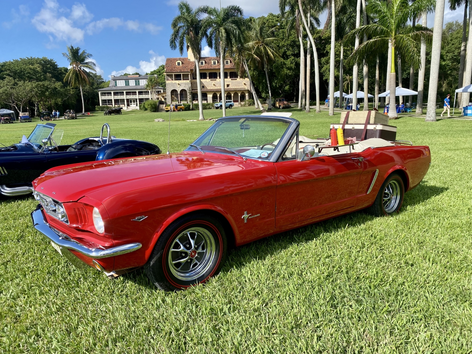 1965-Mustang-Convertible-by-Robert-Hernandez