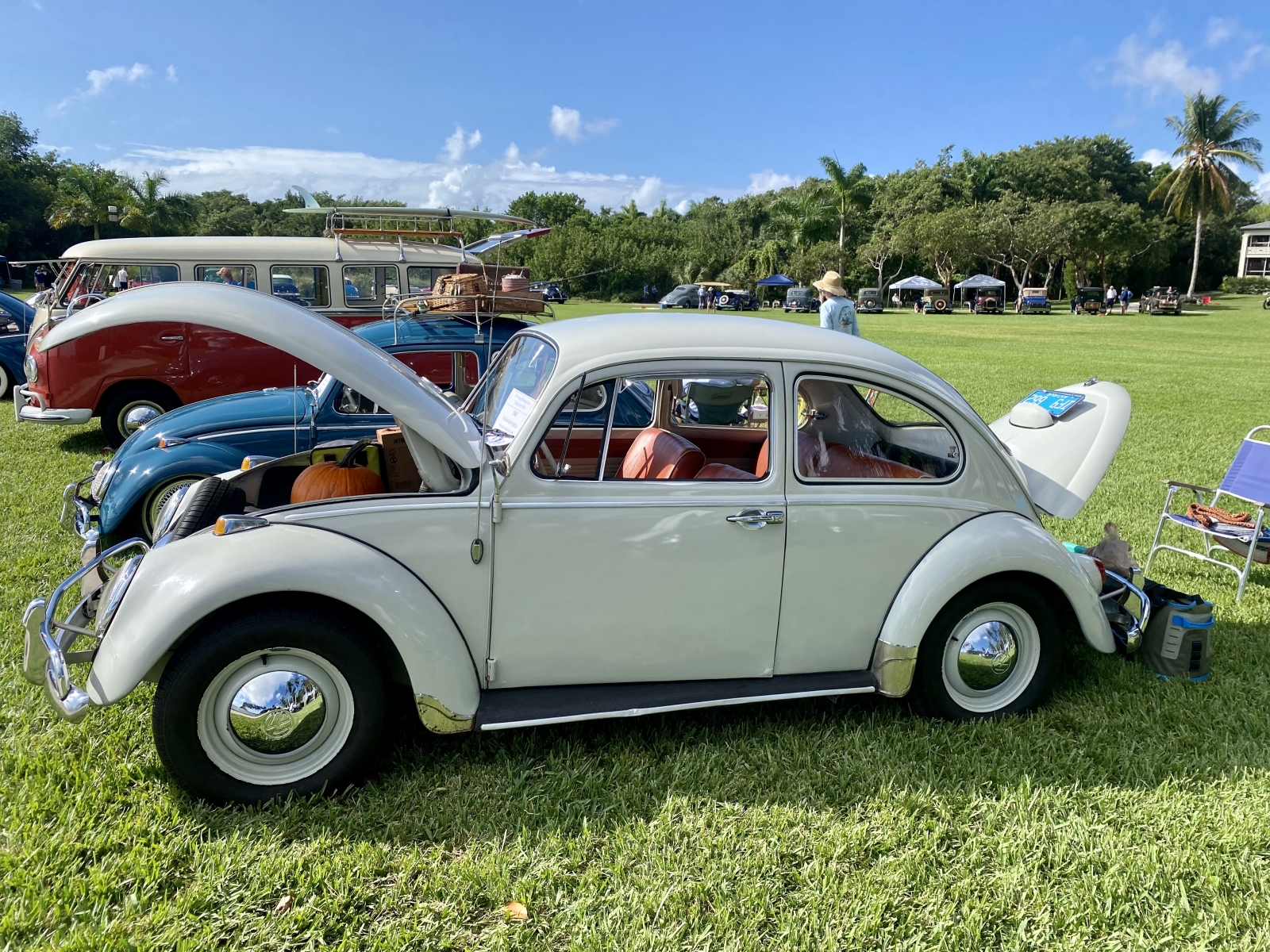1965-VW-Beetle-by-Susan-Zuccaro